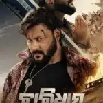 Free Charidham – A Journey Within (2025) Hindi Dubbed TC