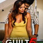 Ek Anjaan Rishtey Ka Guilt 5 S01 (2026) Hindi Completed Web Series HEVC ESub
